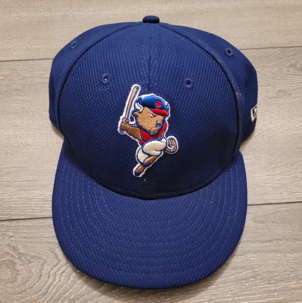 Buffalo bisons